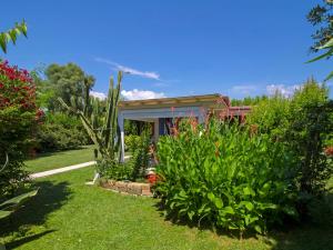 A garden outside Holiday Home Casina del Sole by Interhome