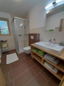a bathroom with a sink and a shower and a toilet at Apart Lisa in Mayrhofen