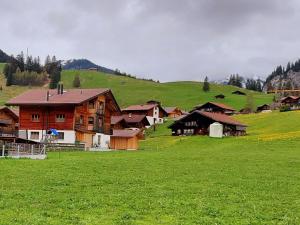 eine Gruppe von Häusern auf einem Feld mit grünem Gras in der Unterkunft Apartment Lärchehuus by Interhome in Adelboden