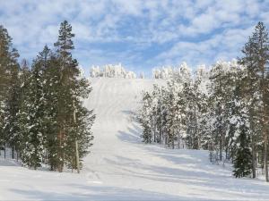 洛斯托的住宿－Holiday Home Tervakko by Interhome，雪覆盖的山坡上,有树木和山