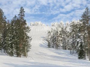 a snow covered slope with trees and a mountain at Holiday Home Tervakko by Interhome in Luosto