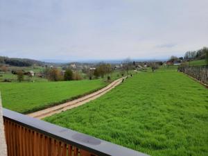 vistas al campo desde la terraza de una casa en Vineyard cottage Klobčar, en Semič