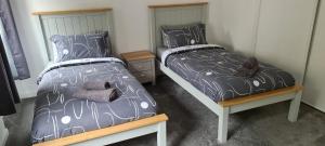 Cette chambre comprend 2 lits jumeaux. dans l'établissement Espedair Apartment, à Paisley