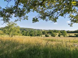 Loodusmaastik of the bed and breakfast lähedal