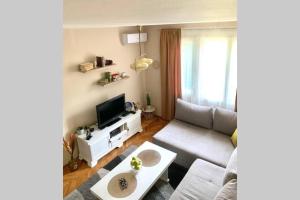 a living room with a couch and a tv at Cute, spacious apt in the heart of the old town in Podgorica