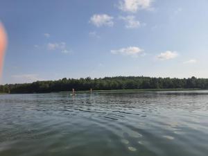 two people are in the water on a lake at Domek w otulinie Wigierskiego Parku Narodowego in Aleksandrowsk