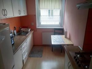 a small kitchen with a sink and a window at Apartament przy Wrocławskim Stadionie in Wrocław