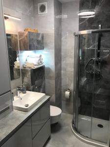 a bathroom with a shower and a sink and a toilet at APARTAMENT D-7 W OBIEKCIE NAUTIKKA PARK in Krynica Morska