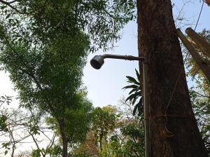 a street light on a pole next to a tree at Khaama Kethna Eco Sustainable Village in Agonda