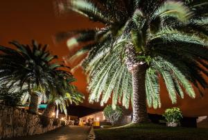 Zahrada ubytování Tenerife Paradise Room 108