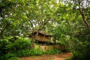 a tree house in the middle of the forest at Khaama Kethna Eco Sustainable Village in Agonda
