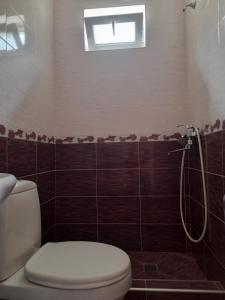un bagno con wc e doccia di Kera Guest House a Kazbegi