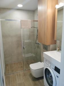 um banheiro com chuveiro, vaso sanitário e pia em Jorė em Juodkrantė