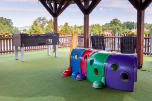 a childrens playground with a play set on the grass at Horsky hotel Rajska bouda in Malenovice