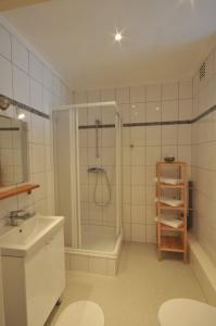 een badkamer met een douche, een toilet en een wastafel bij Les Appartements Â Vî Mâm'dî in Malmedy