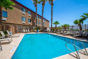 a swimming pool with chaise lounge chairs and palm trees at Red Roof Inn El Paso West in El Paso
