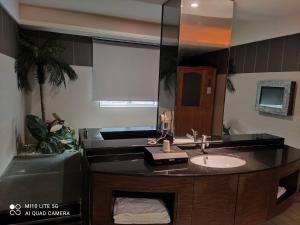 大溪區的住宿－碧雲天汽車旅館-大溪館，一间带水槽和大镜子的浴室