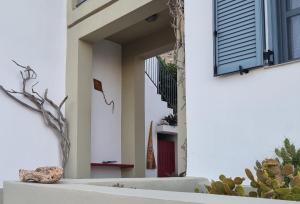 a white building with a window and cactus at Domatia me Thea in Elafonisos