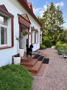 a black dog standing outside of a house at Gościnec pod lipami in Kruszyniany