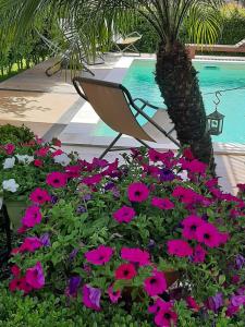 krzesło w łóżku z kwiatami obok basenu w obiekcie Casa vacanze ETNA COCUS w mieście Santa Venerina