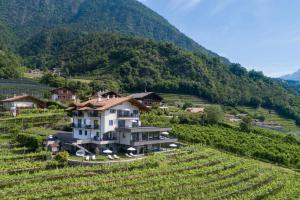 a house on a hill in a vineyard at Apartments Lichtenberg in Lagundo