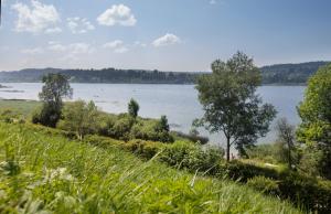 a view of a lake from a grassy field at Appartement Vue Lac in Malbuisson