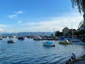 Un montón de barcos están atracados en un puerto en Panorama Seeblick, en Wasserburg