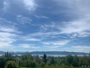 Příroda nedaleko apartmánu + 2 fotografie