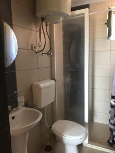 La salle de bains est pourvue de toilettes, d'un lavabo et d'une douche. dans l'établissement Дом для семейного отдыха в Утехе, Черногория, à Utjeha-Bušat