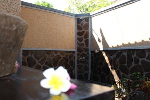 Zahrada ubytování Magus Homestay