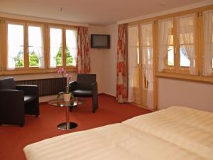 TV a/nebo společenská místnost v ubytování Hotel Steinbock