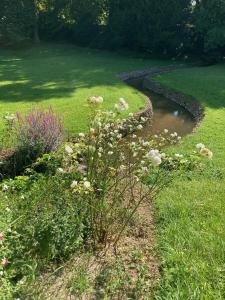 un jardin avec un étang et des fleurs dans l'herbe dans l'établissement Propriété Les Ruisseaux, à Seine-Port