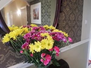 Foto sihtkohas Kenmare asuva majutusasutuse O'Sheas Ceol Na Habhann B&B galeriist