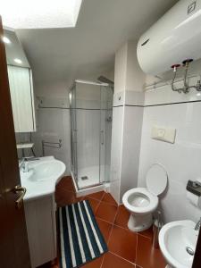 W łazience znajduje się prysznic, toaleta i umywalka. w obiekcie Appartamento Fiore Rocca w mieście Rocca di Mezzo