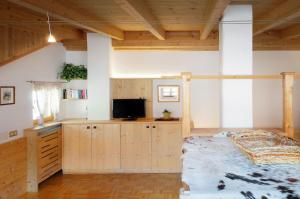 TV a/nebo společenská místnost v ubytování Appartamenti Pastüres