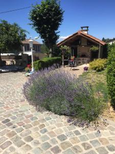 un giardino con fiori viola di fronte a una casa di Belle maison de famille a Usson-en-Forez