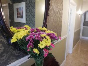 Foto sihtkohas Kenmare asuva majutusasutuse O'Sheas Ceol Na Habhann B&B galeriist