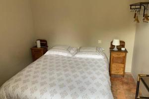 a bedroom with a large bed and two night stands at LA PETITE MAISON de Chenillé Changé in Chenillé-Changé +1 photo