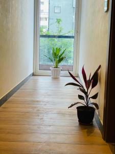 Gallery image of Royal Ace Boutique Hotel in Bengaluru +44 photos