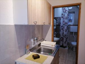 un piccolo bagno con lavandino e specchio di Apartman Visnja a Rudnik