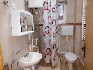 un bagno con un water e una tenda da doccia di Apartman Visnja a Rudnik
