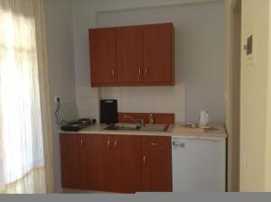 Kuchyň nebo kuchyňský kout v ubytování Villa Agapi