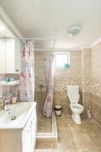 a bathroom with a toilet and a shower and a sink at Villa Vadian & Pool in Gevgelija
