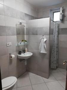 a bathroom with a sink and a toilet and a mirror at Cinege Vendégház in Tolcsva
