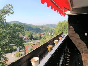 a balcony with potted plants on the ledge of a house at TOP Ferienwohnung mit Tiefgaragenstellplatz, auch für längere Aufenthalte in Sasbachwalden