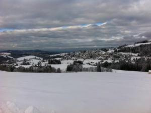Hirschen Wald - Gasthaus & Bäckerei v zimě