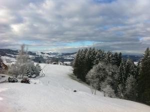 Hirschen Wald - Gasthaus & Bäckerei v zimě