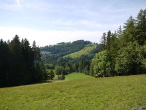 Příroda nedaleko penzionu – hostince