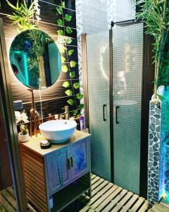 a bathroom with a sink and a mirror at Jungle Vibes - Jacuzzi - Sauna in Yerres