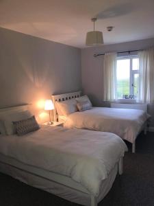 a bedroom with two beds and a window at Luí na Gréine in Gweedore
